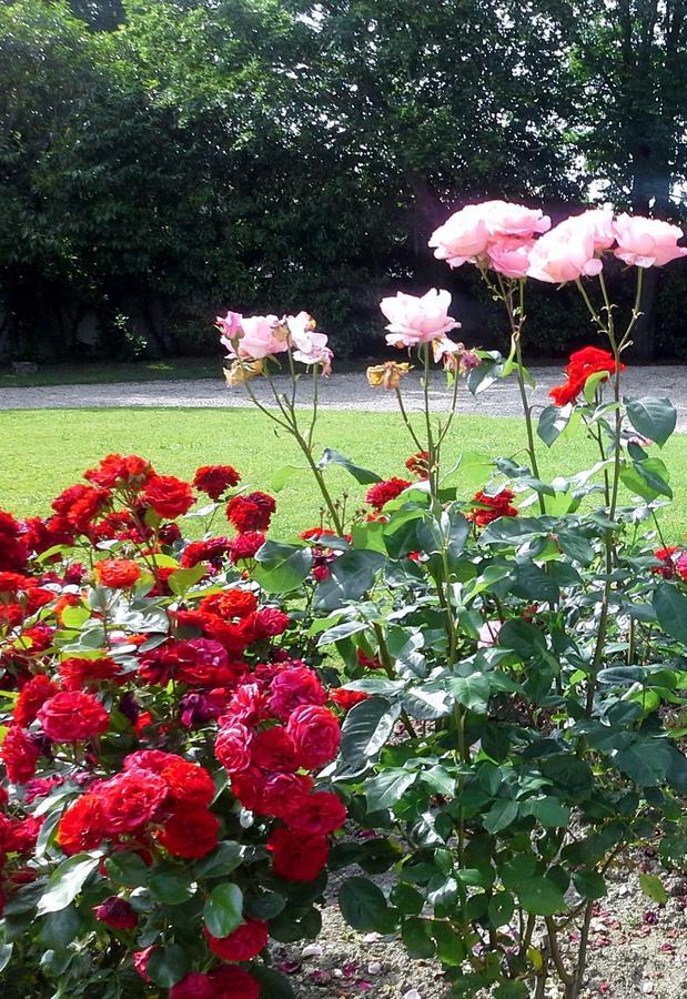Bed and Breakfast Le Logis De Ruelle Exterior foto